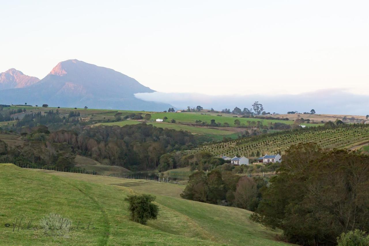 Hakuna Matata Game Farm Great Brak River Exterior photo